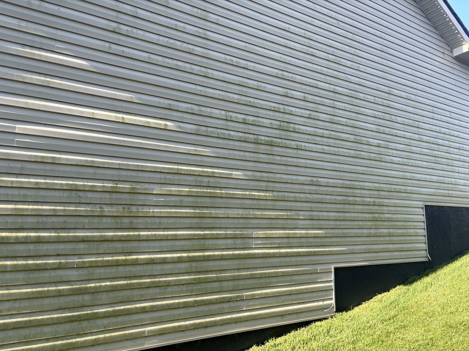 Dirty siding before cleaning